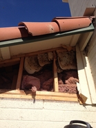 Attic Hive