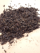 Bees Left to Rot