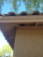 Bird Block Hive