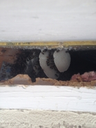 Bird Block Hive 2