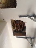 Carved out Foam Hive 2