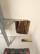 Carved out Foam Hive 3