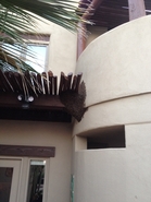 Casita Swarm