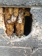 Dead Comb and Honey