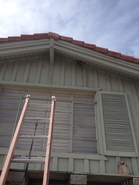 Double Ladder Hive