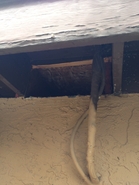 Flat Roof Hive