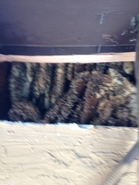 House Wall Hive