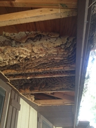 Old Hive 6