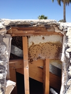 Parapet Hive 4