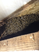 Tight Spot 2