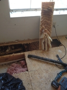 Warm Floor Hive 4
