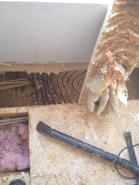 Warm Floor Hive 5