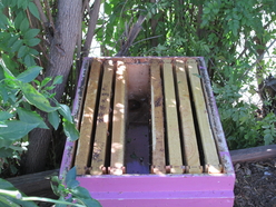 Swarm Box